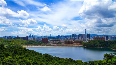 发现广州独特的按摩文化,体验抓龙筋的独特魅力 发现广州独特的按摩文化,体验抓龙筋的独特魅力